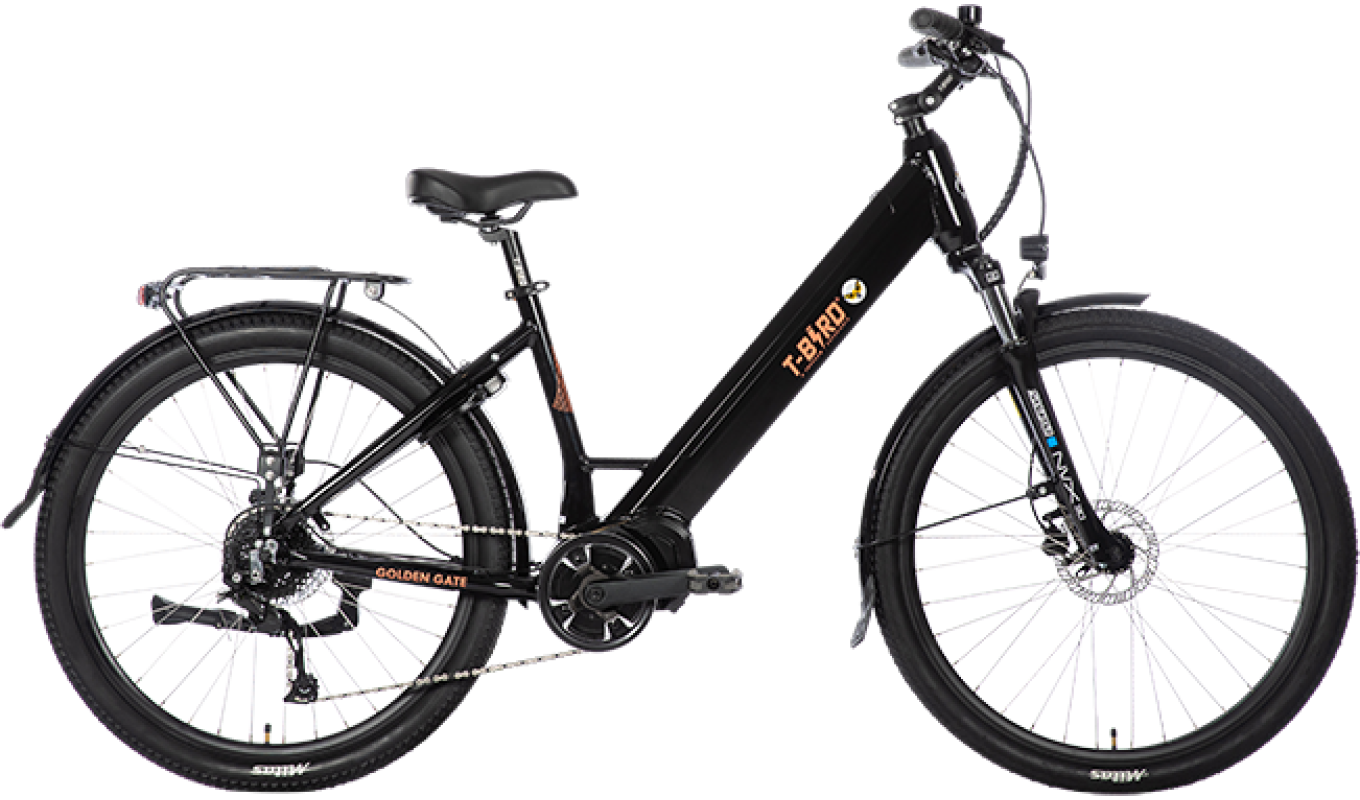 Profil Golden Gate noir