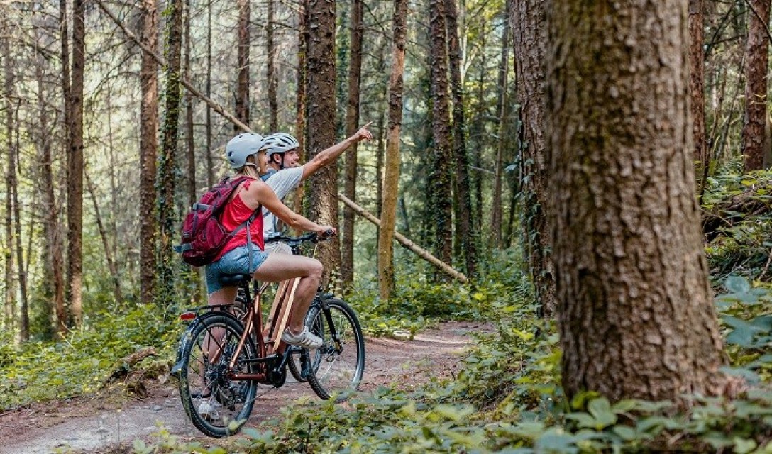 Ambiance Golden Gate Sport