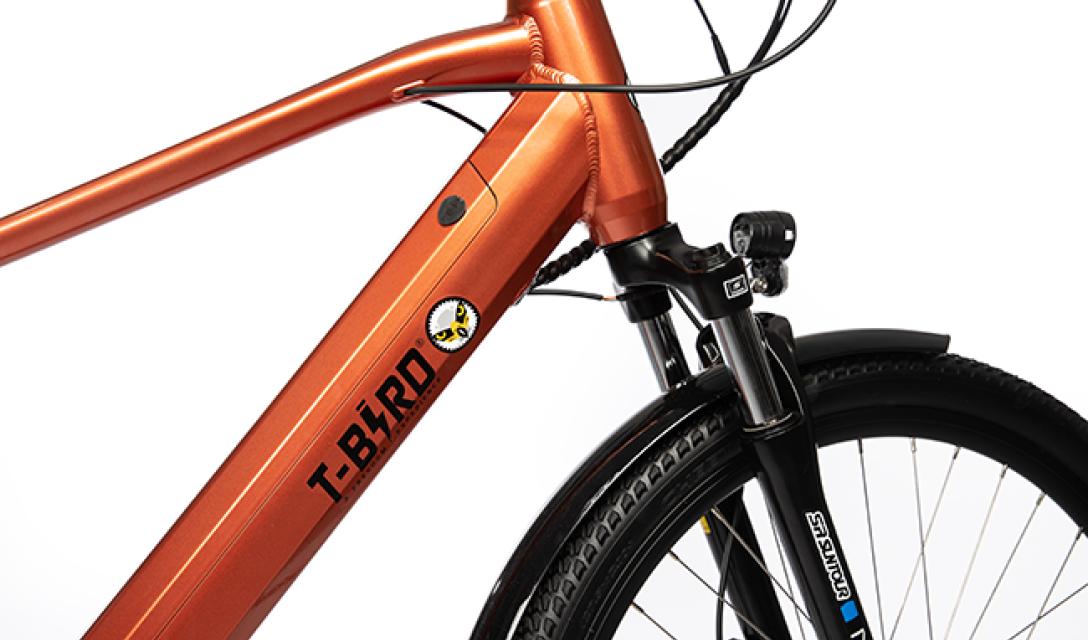 Détail Golden Gate sport cuivre